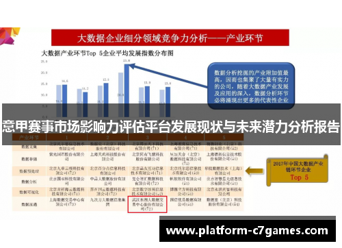 意甲赛事市场影响力评估平台发展现状与未来潜力分析报告