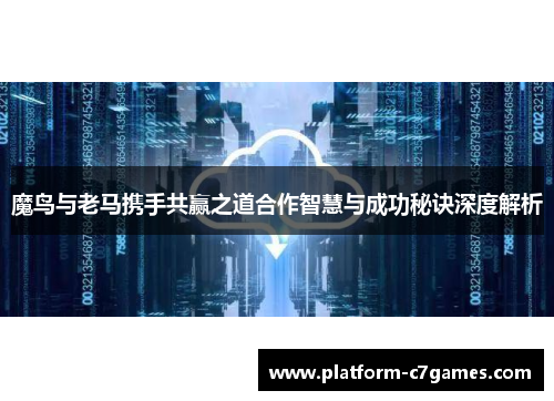 魔鸟与老马携手共赢之道合作智慧与成功秘诀深度解析 魔鸟与老马携手共赢之道合作智慧与成功秘诀深度解析