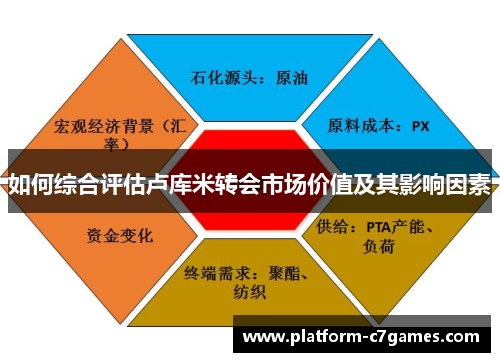如何综合评估卢库米转会市场价值及其影响因素