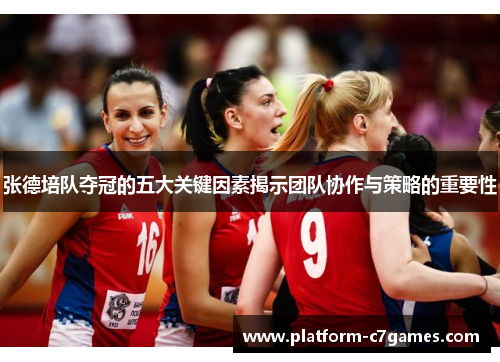 张德培队夺冠的五大关键因素揭示团队协作与策略的重要性 张德培队夺冠的五大关键因素揭示团队协作与策略的重要性